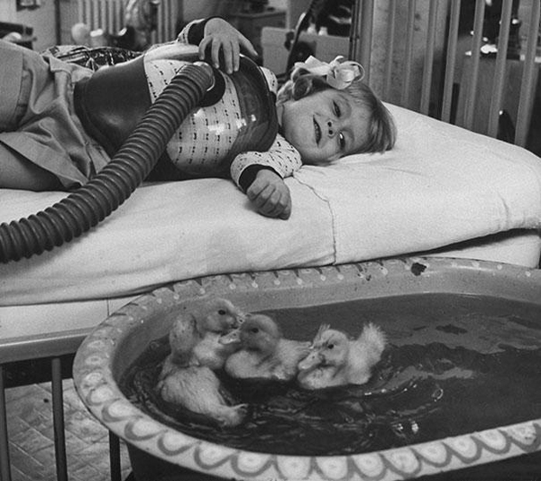 4.) Fuzzy ducklings being used as therapy animals for children.